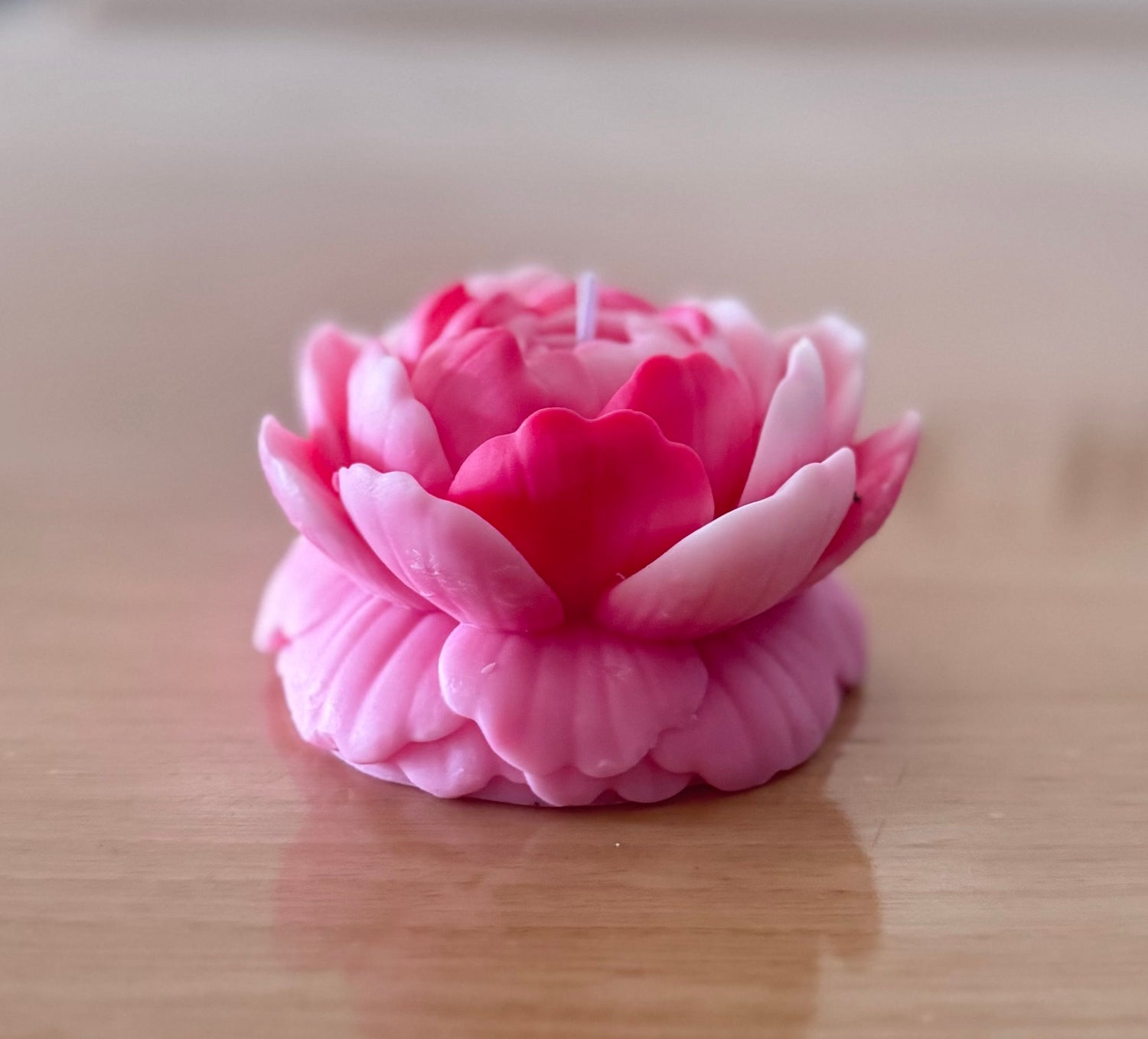 Rosa Rosé