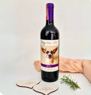 Vagabundo 🐾 Colombia